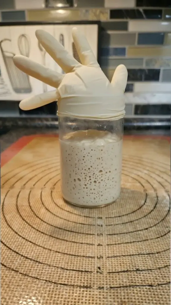 Checking starter readiness for baking without guessing or stress