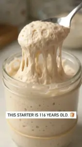 Close-up of a 116-year-old sourdough starter in a glass jar