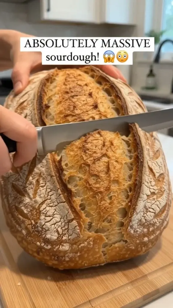 Absolutely massive sourdough bread loaf freshly baked and artisan crafted.