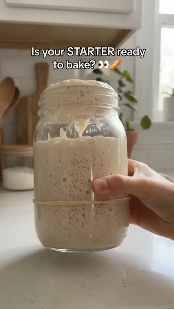 Checking the readiness of a sourdough starter for baking bread