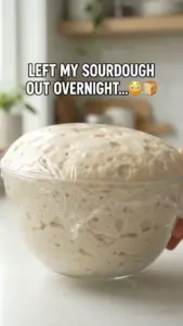 Sourdough dough left on counter overnight, showing its texture and proofing process.