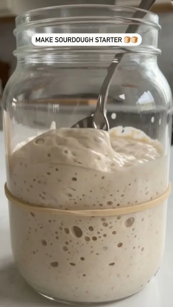A healthy sourdough starter bubbling in a jar, ideal for baking bread.